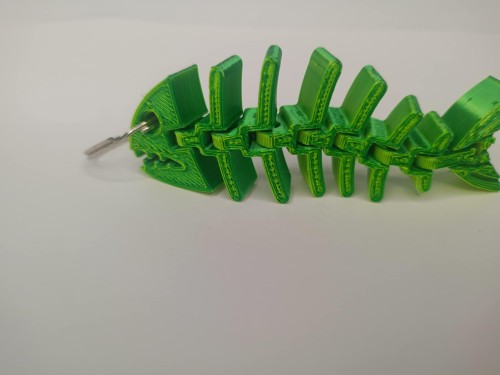 flexi ryba 1.jpg